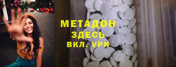 прущие грибы Надым