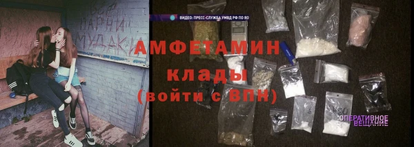 прущие грибы Надым