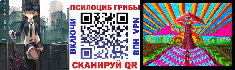 наркотики  Зеленоградск  Псилоцибиновые грибы мицелий 